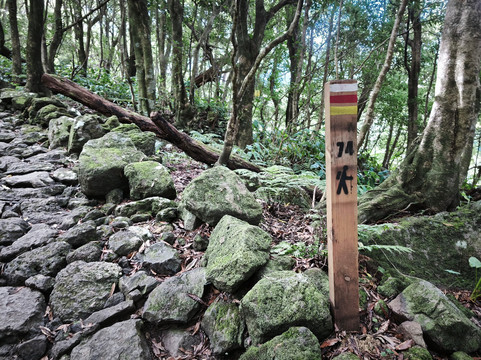 Poco da Ribeira do Ferreiro-Flores必去景点