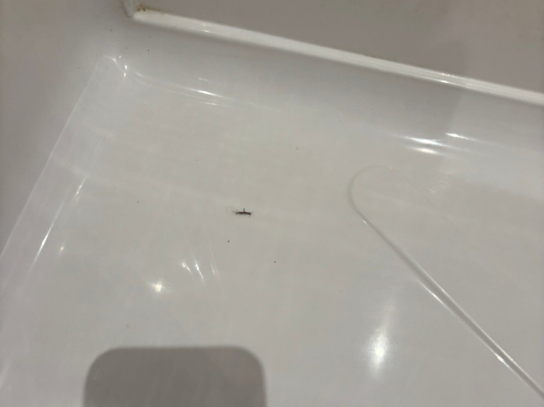 怀特岛赖德旅屋酒店主图