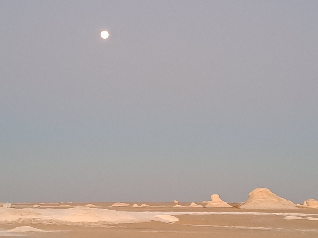 Western Desert Travel-Bahariya Oasis必去景点