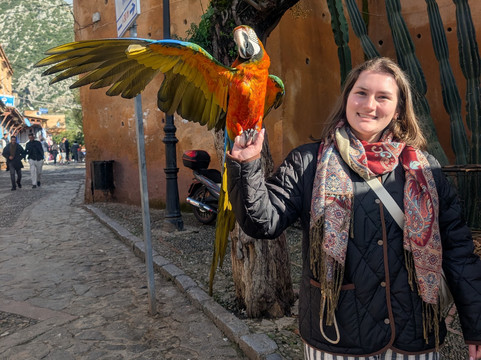 Citylife Madrid-马德里必去景点
