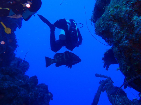 Only Blue Diving Dreams-Cockburn Town必去景点