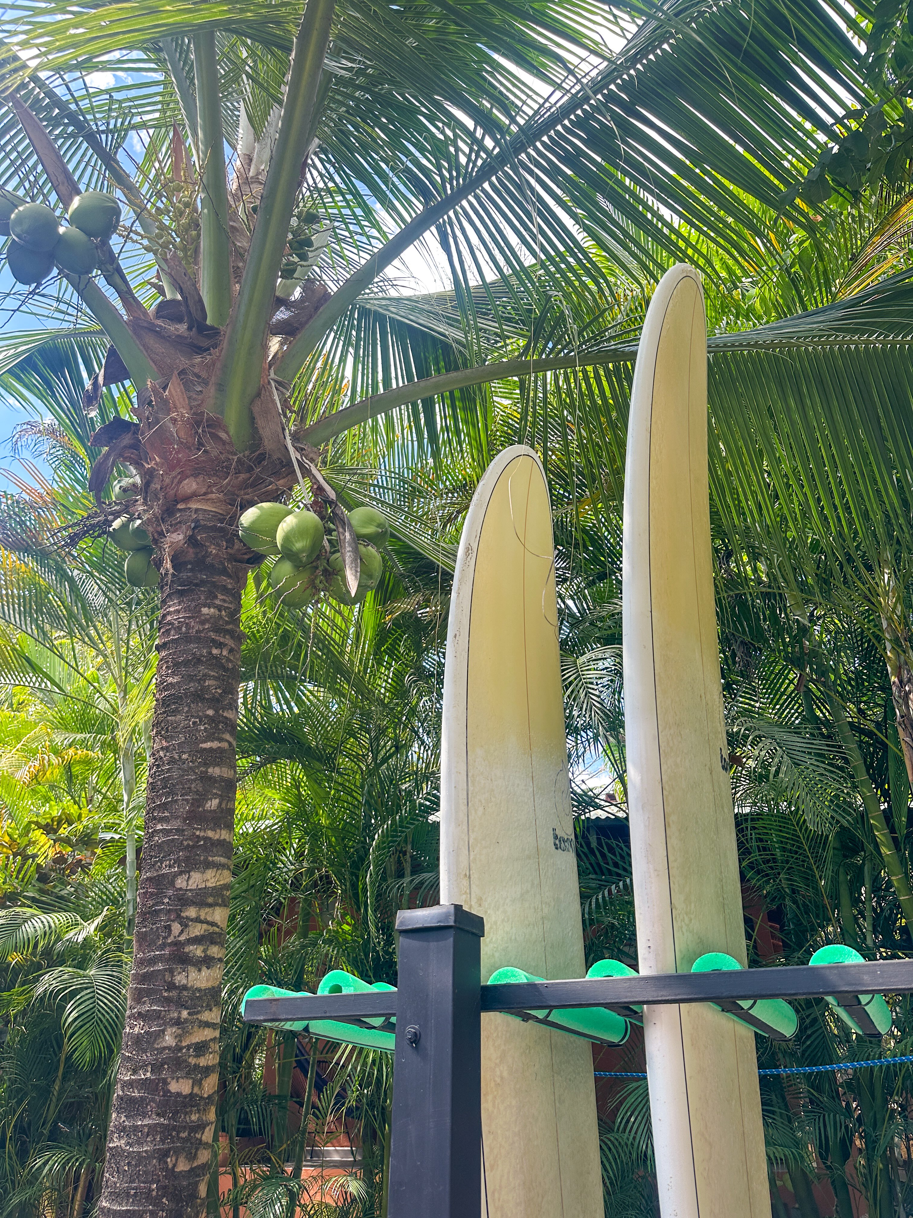 Shaka Costa Rica-浴室