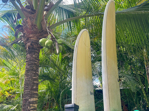 Shaka Costa Rica主图