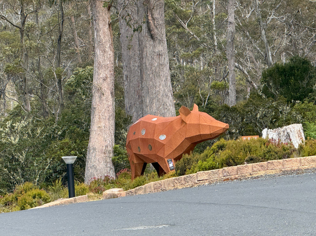 Cradle Mountain Wilderness Gallery-摇篮山圣克莱尔湖国家公园必去景点