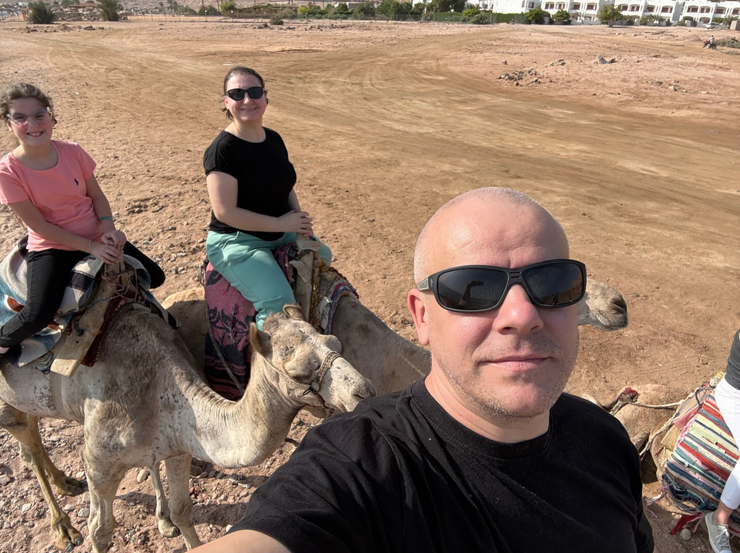 Joyce Tours Egypt-沙姆沙伊赫必去景点