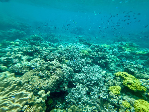 Ocean Ventures Fiji-萨武萨武必去景点