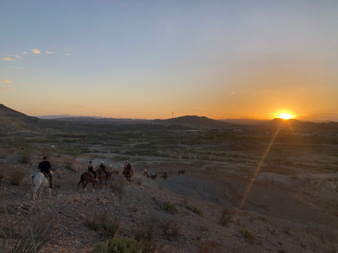 Big Bend & Lajitas Stables-Terlingua必去景点