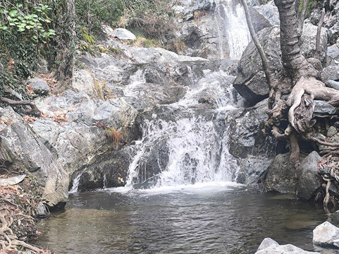 Cyprus Sunshine Safari Tours-Tala必去景点