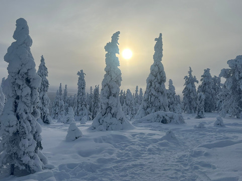 Nordic Unique Travels-罗瓦涅米必去景点