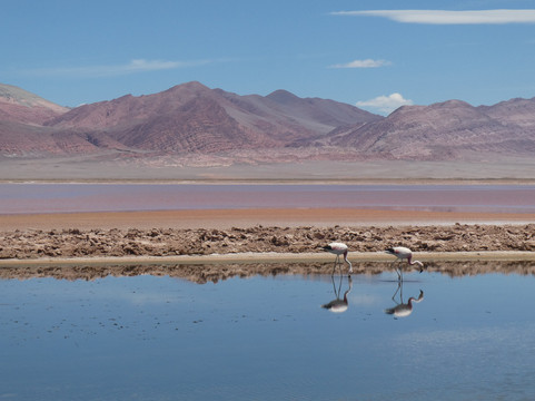 Tour F Buenos Aires-布宜诺斯艾利斯必去景点