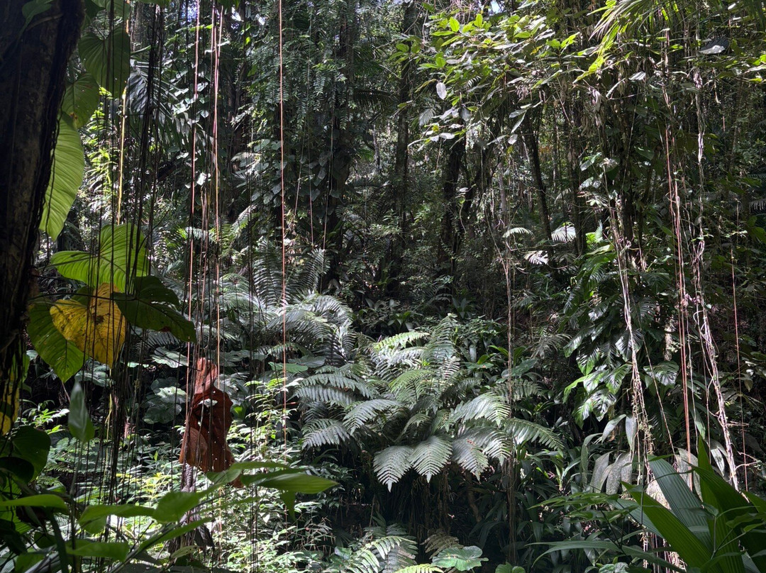 TTT Excursions-Bon Accord必去景点