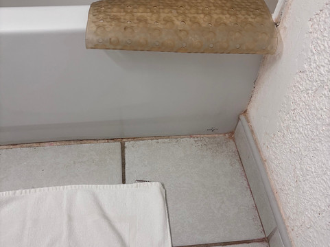 梅花树俱乐部公寓主图