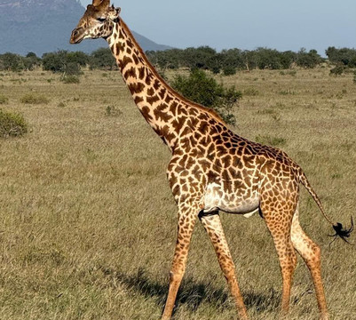 Northern Wild Hunters-班布里必去景点