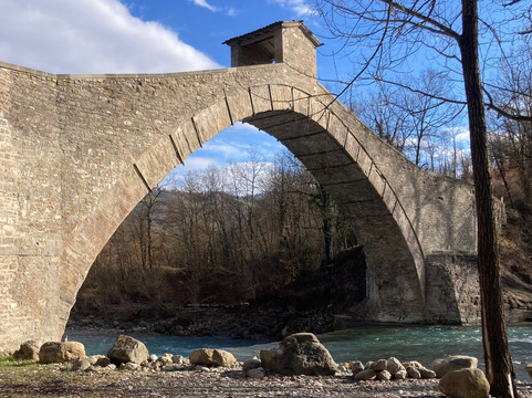 樱桃屋家庭旅馆主图