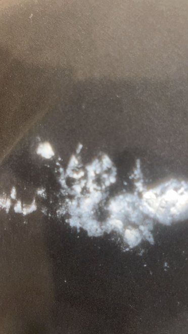 威勒尔乡村酒店-官方