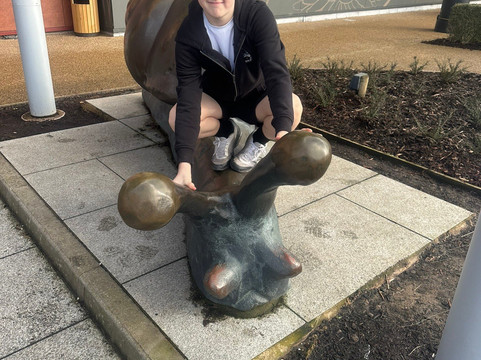 The Flower Bowl Entertainment Centre-Barton必去景点