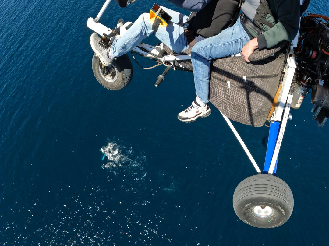 Cabo Sky Tours-卡波圣卢卡斯必去景点