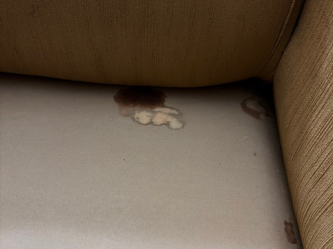 麦迪逊南速8酒店主图