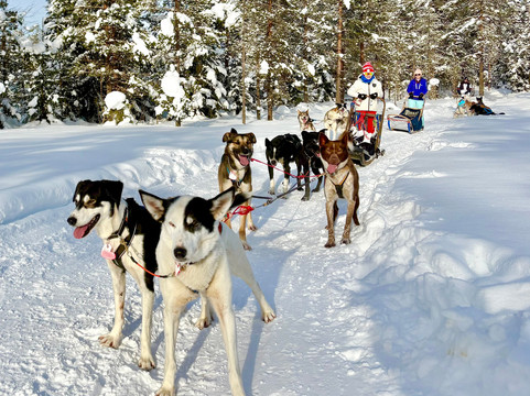 Trysil Husky-Torberget必去景点