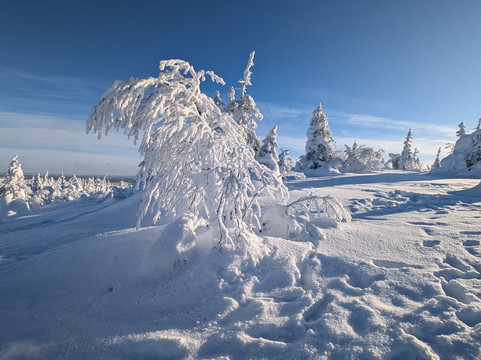 Lupland Adventures-Ranua必去景点