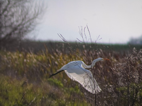 默塞德国家野生动物保护区-默塞德必去景点