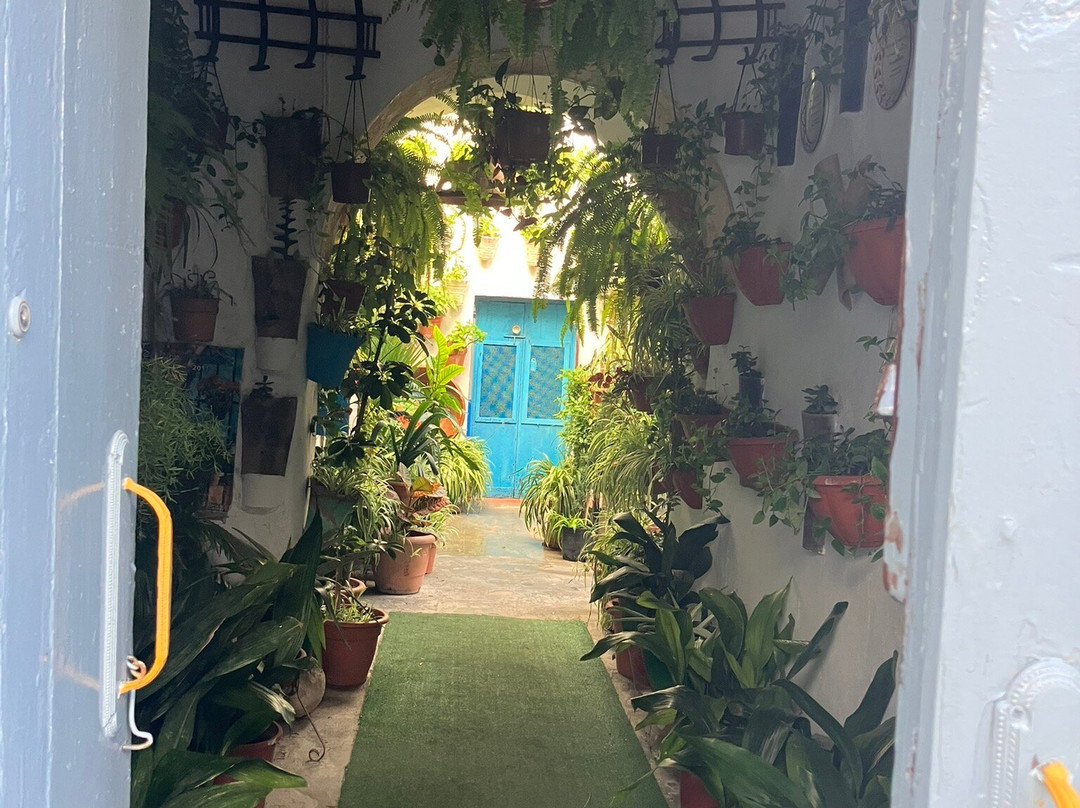 Pasteleria Galvan-贝赫尔－德拉弗龙特拉必去景点