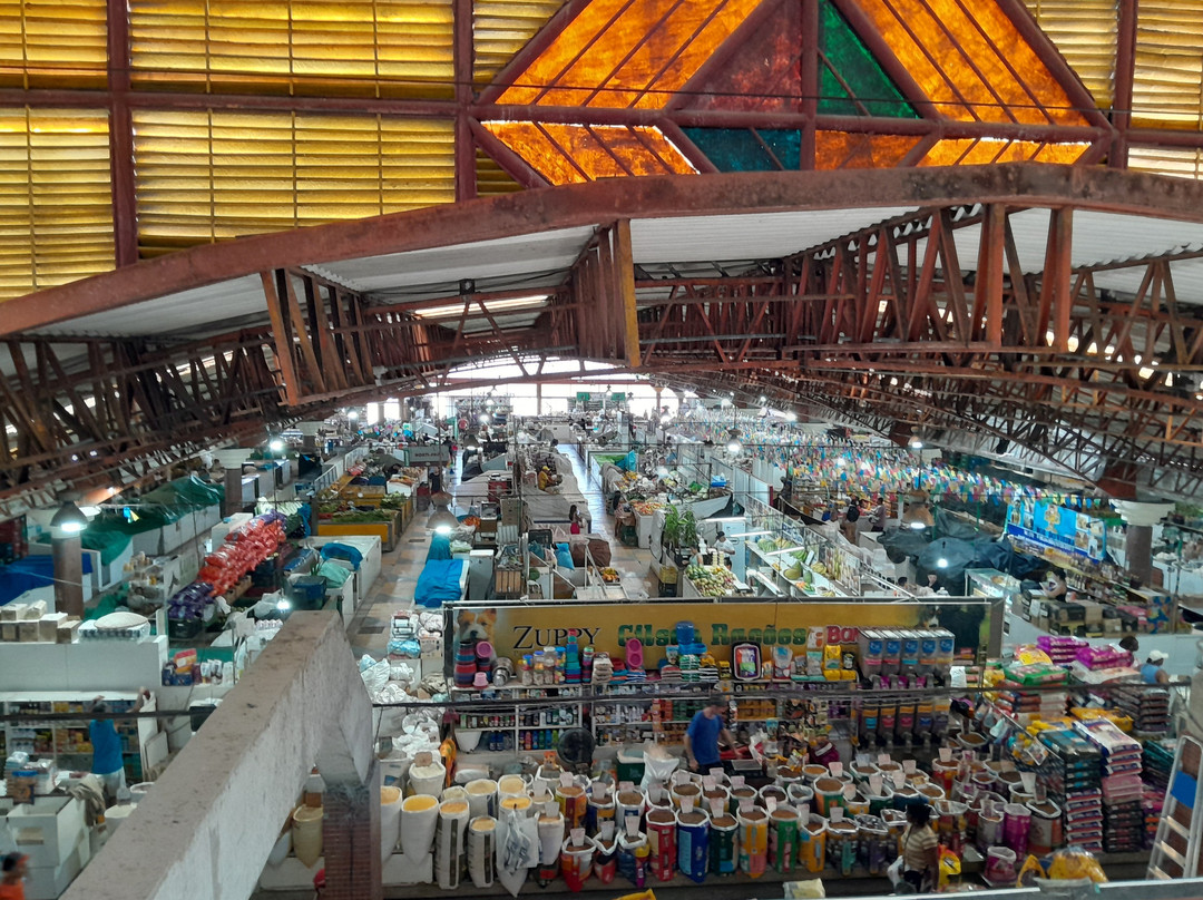 Thales Ferraz Municipal market-阿拉卡茹必去景点