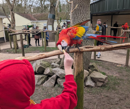 Tropical Birdland-Desford必去景点