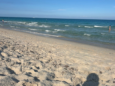 伦敦湾海港 - 迈阿密海滩主图