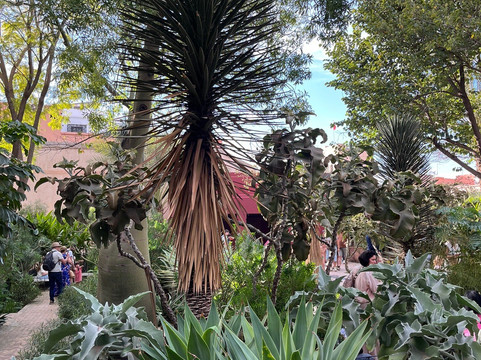 香颂秘密花园-马拉喀什必去景点