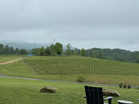Marked Tree Vineyard-Flat Rock必去景点