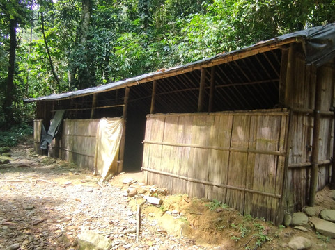 Sumatra Tour & Travel Bukit Lawang-武吉拉旺必去景点