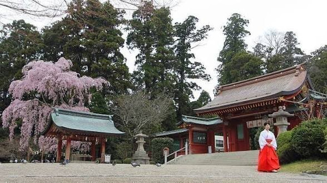 Shiogama Shrine-盐灶市必去景点