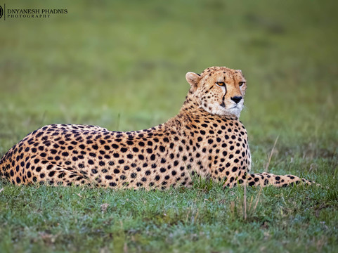 Scope Safaris-Thika必去景点