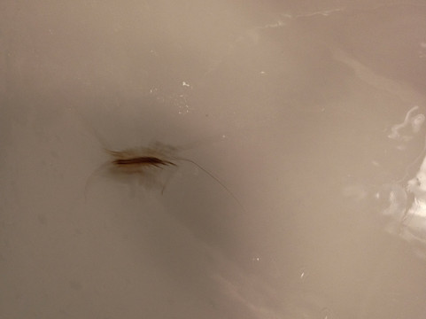 纽瓦克市中心万怡酒店主图