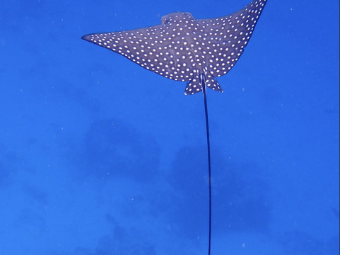 秘密乐园有限公司-胡鲁马累必去景点