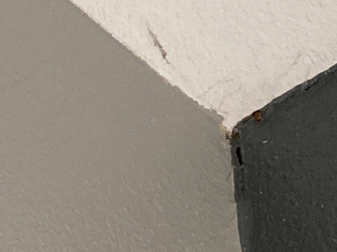 南本德拉昆塔温德姆套房酒店主图