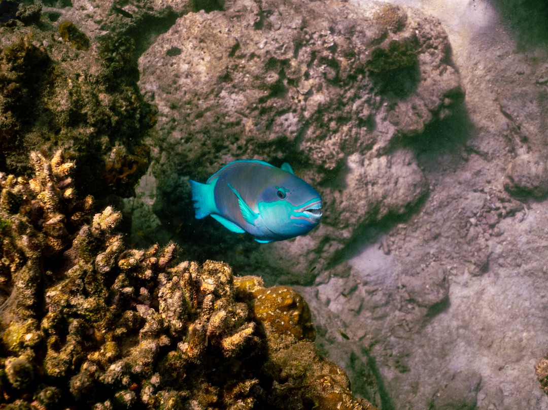 双海旅游-普吉岛必去景点