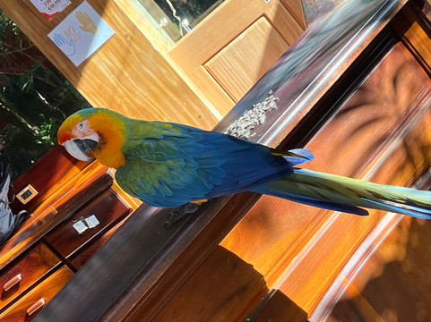 MonteTours-蒙特沃德必去景点