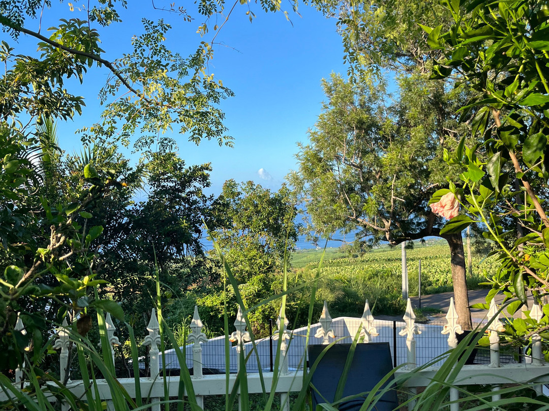 欧吉梅尔旅馆主图