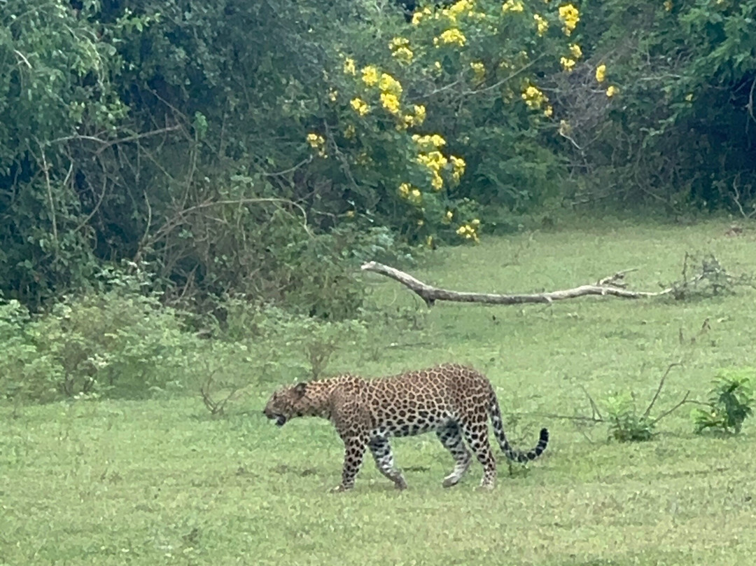Diamond Tours & Travel-Alverca do Ribatejo必去景点