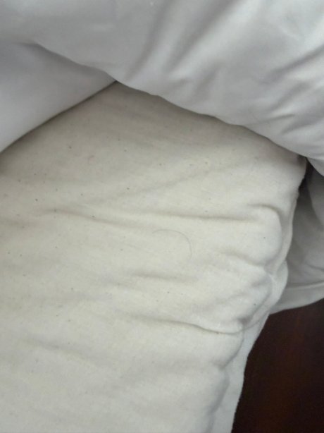 Termas de Cauquenes-官方