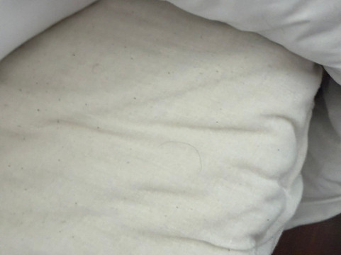 Termas de Cauquenes主图