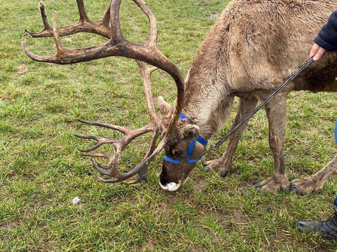 Rentieralm-Niederhausen必去景点