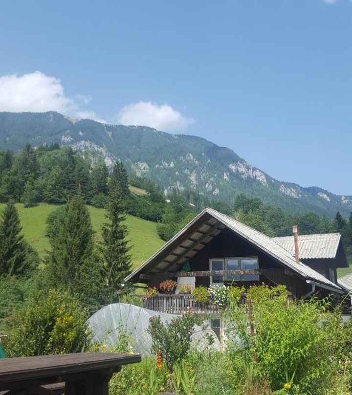 Tourist Farm Majdač