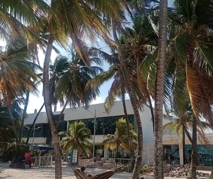 Playa de Spratt Bight-圣安德烈斯岛必去景点