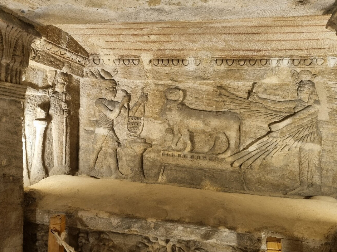 Mena Tour Guide Aswan Luxor-亚斯文必去景点