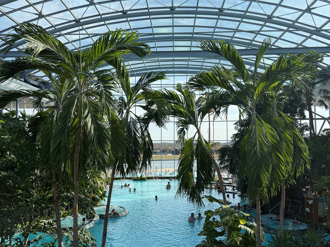 Therme Bucuresti-Balotesti必去景点