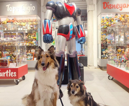 Creature Di Gomma - Venice Vintage Toys-威尼斯必去景点