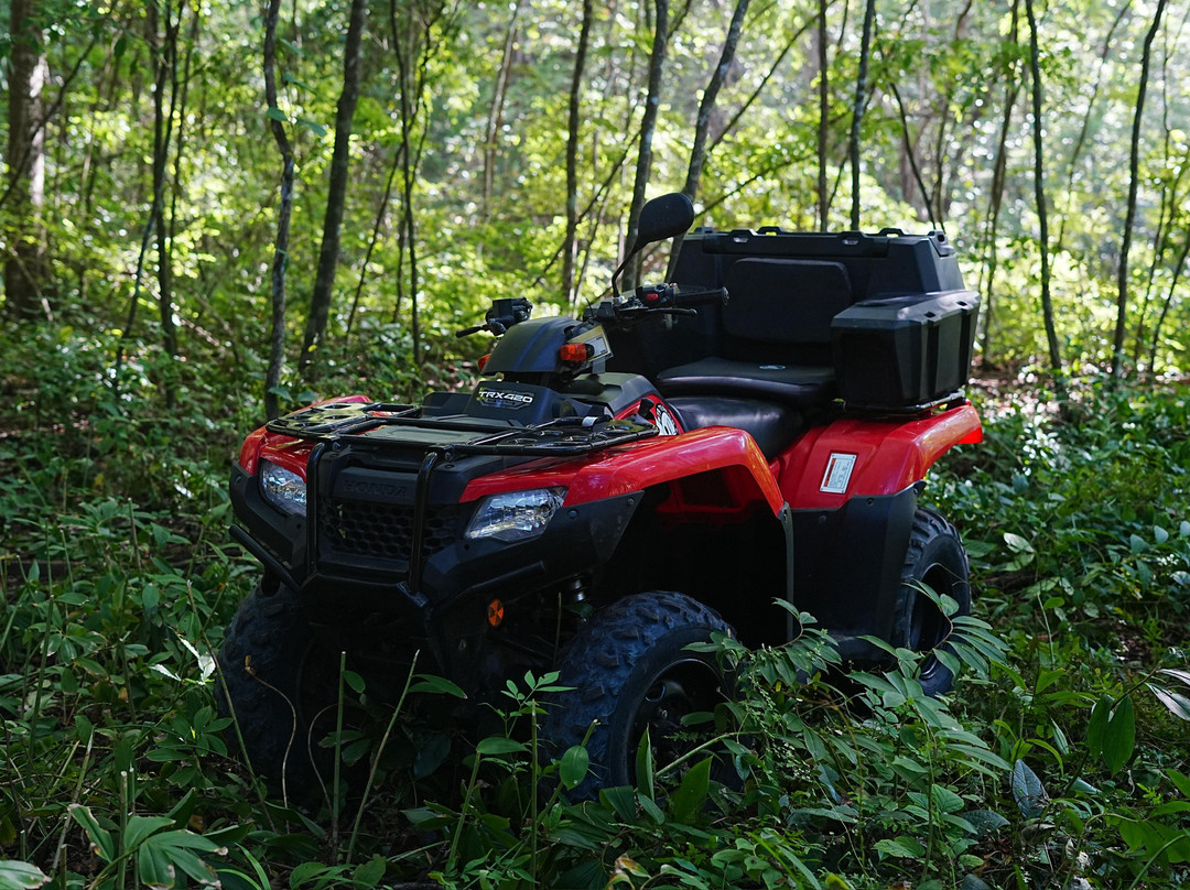 Vroom8 ATV Rentals Nosara-诺萨拉必去景点